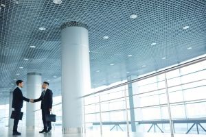Assistance in industrial, antitrust and European Union law